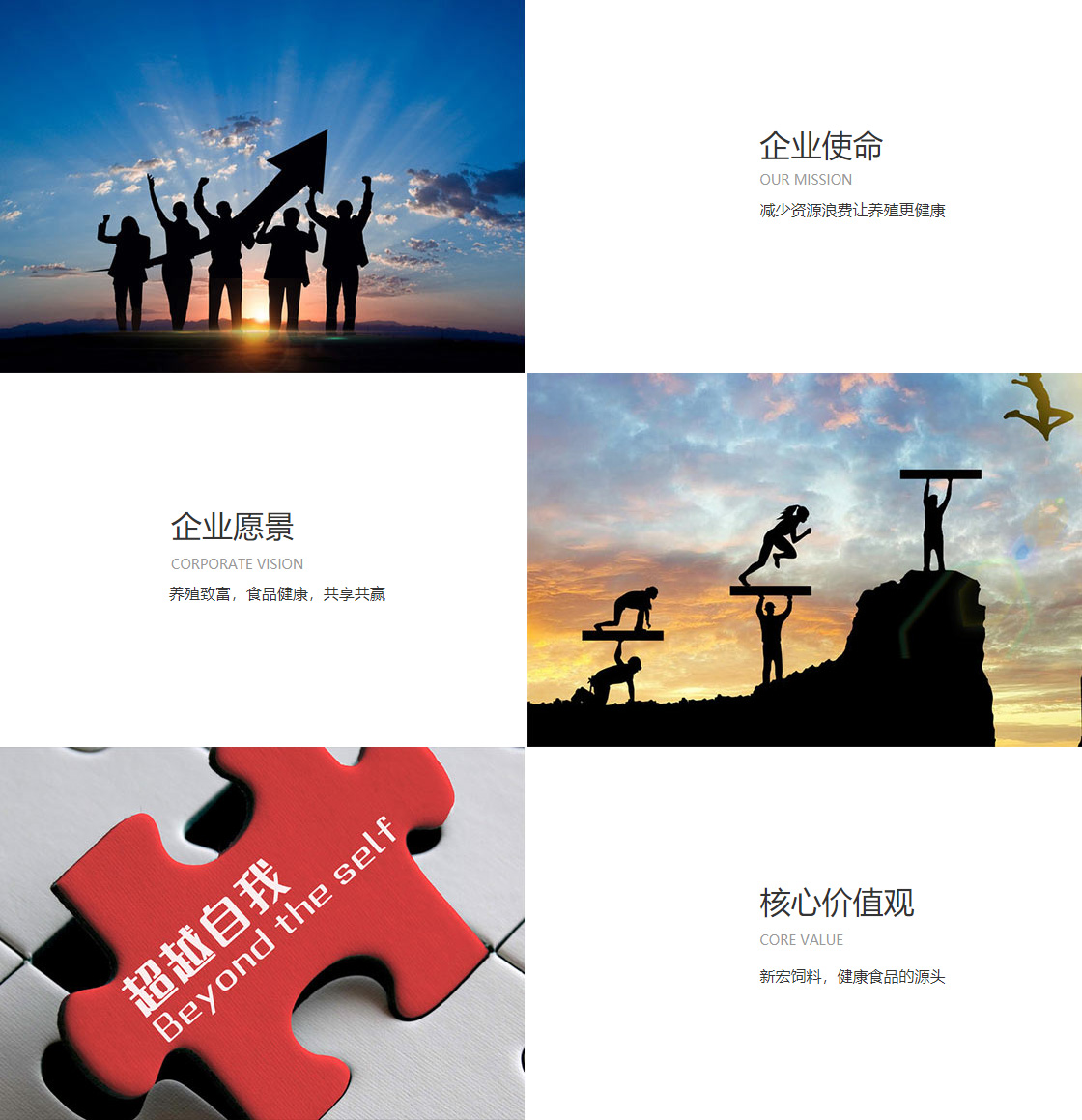 365体育手机版下载(图1)